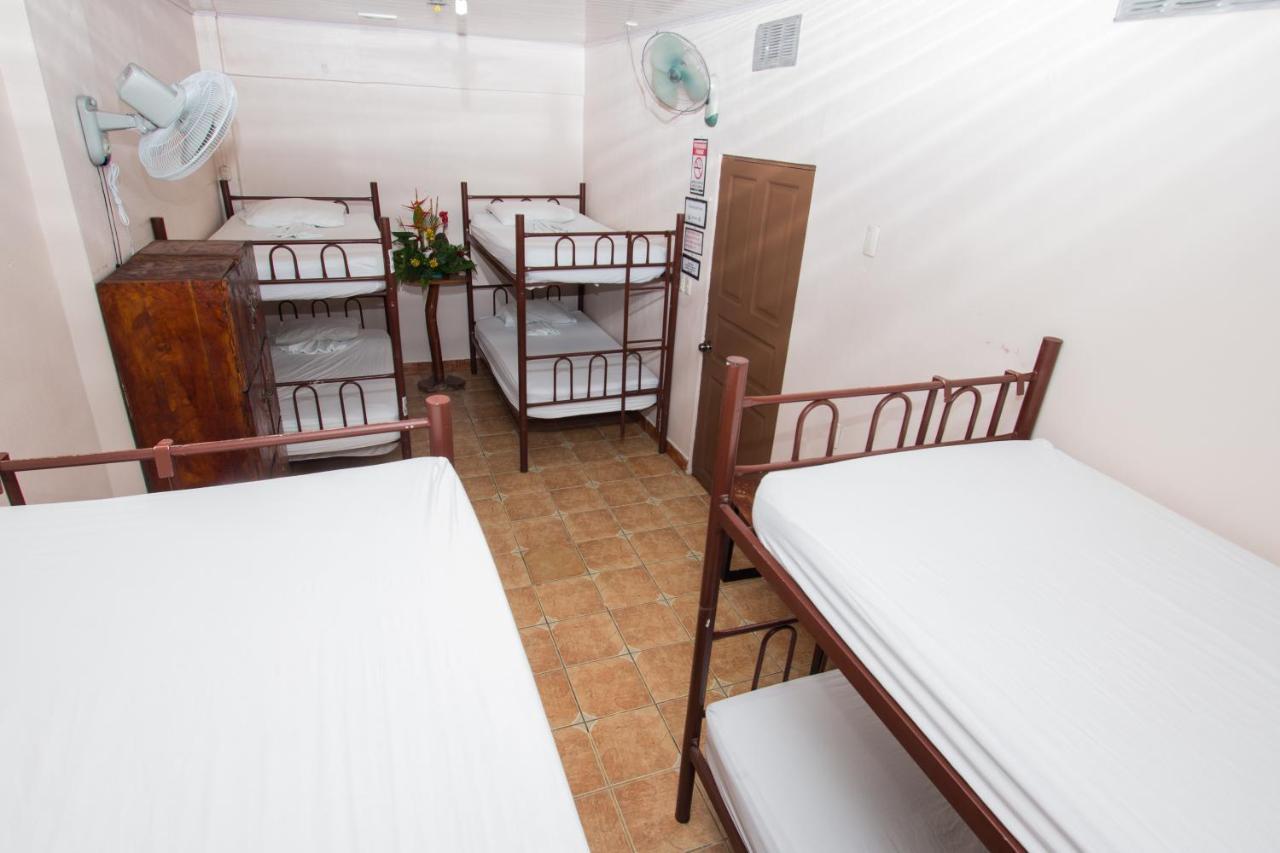 New Hostel Manuel Antonio, Meet New People Quarto foto